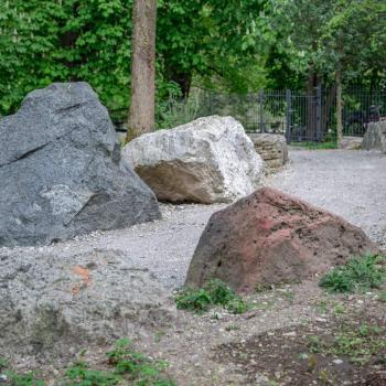 Der neu eröffnete Museumsgarten im Alpinen Museum in München ist informativ und auch gleichzeitig genussvoll - (c) Gabi Dräger
