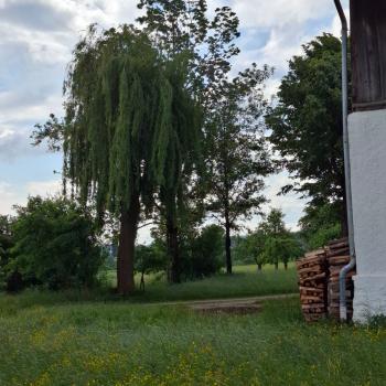 Im niederbayerischen Bayerbach erwarten den Besucher sanfte Natur und verschlafene Wege - (c) Stefan Engel/Ulrike Engel