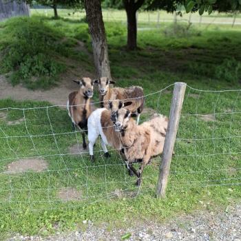 Im niederbayerischen Bayerbach erwarten den Besucher sanfte Natur und verschlafene Wege - (c) Stefan Engel/Ulrike Engel
