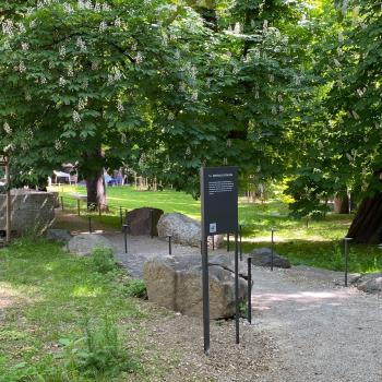 Der neu eröffnete Museumsgarten im Alpinen Museum in München ist informativ und auch gleichzeitig genussvoll - (c) Gabi Dräger