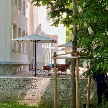 Der neu eröffnete Museumsgarten im Alpinen Museum in München ist informativ und auch gleichzeitig genussvoll - (c) Gabi Dräger