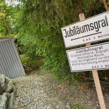 Der neu eröffnete Museumsgarten im Alpinen Museum in München ist informativ und auch gleichzeitig genussvoll - (c) Gabi Dräger