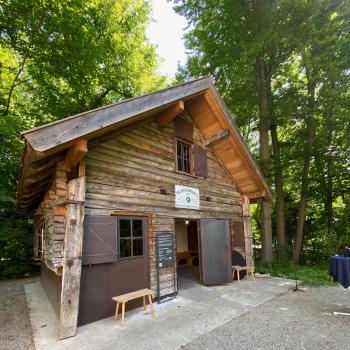 Der neu eröffnete Museumsgarten im Alpinen Museum in München ist informativ und auch gleichzeitig genussvoll - (c) Gabi Dräger