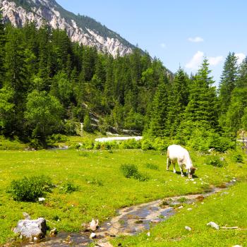 Outdoor-Aktivitäten für die ganze Familie: Spaß für Groß und Klein - (c) Jörg Bornmann