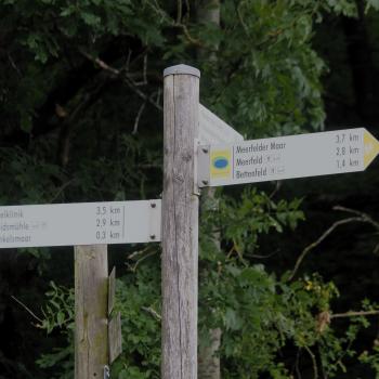 Ein vielfältiges Wanderwegenetz ist sehr gut beschildert - (c) Jörg Bornmann