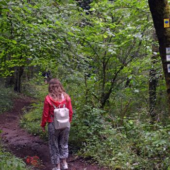 Auf dem Weg zum Vulkanerlebnispark Mosenberg. Hier kann man mehr über den Vulkanismus in der Eifel erfahren - (c) Jörg Berghoff