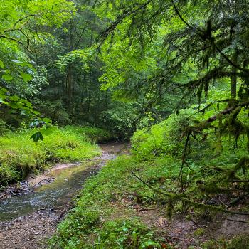 Magie der drei Schluchten - Ein wahres Wandermärchen im Naturpark Schwäbisch-Fränkischer Wald - (c) Evelyn und Ralph Scheer