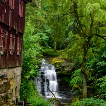 Magie der drei Schluchten - Ein wahres Wandermärchen im Naturpark Schwäbisch-Fränkischer Wald - (c) Evelyn und Ralph Scheer