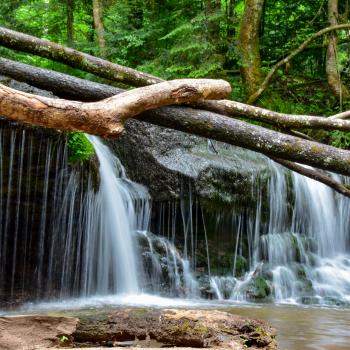 Magie der drei Schluchten - Ein wahres Wandermärchen im Naturpark Schwäbisch-Fränkischer Wald - (c) Evelyn und Ralph Scheer