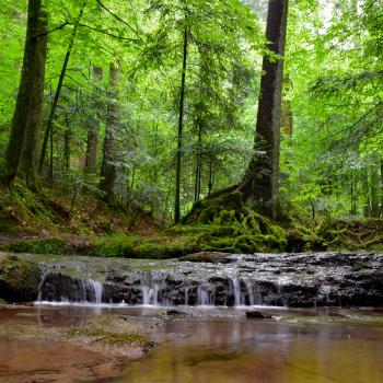Magie der drei Schluchten - Ein wahres Wandermärchen im Naturpark Schwäbisch-Fränkischer Wald - (c) Evelyn und Ralph Scheer