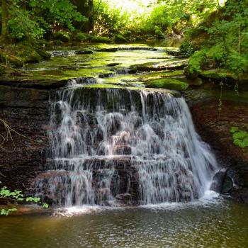 Magie der drei Schluchten - Ein wahres Wandermärchen im Naturpark Schwäbisch-Fränkischer Wald - (c) Evelyn und Ralph Scheer