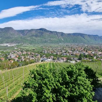 Urlaub auf dem Bauernhof, der Rote Hahn in Südtirol - Blick vom Greiterhof bei Lana - (c) Detlef Düring