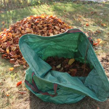 Schlafplatz ist im kleinsten Stängel - jetzt den Garten zum Winterquartier für Igel, Vögel und Insekten machen - (c) NABU