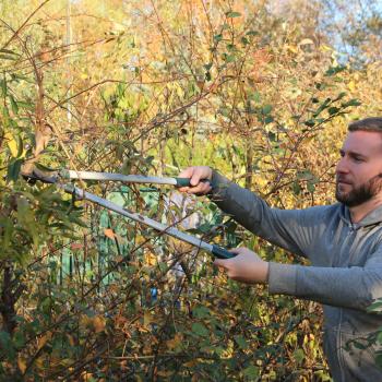 Schlafplatz ist im kleinsten Stängel - jetzt den Garten zum Winterquartier für Igel, Vögel und Insekten machen - (c) NABU