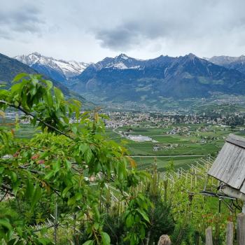 Urlaub auf dem Bauernhof, der Rote Hahn in Südtirol - Der Rauthof bei Meran - (c) Detlef Düring