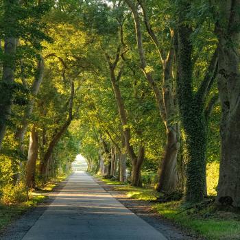 Die Jury empfindet das Bild als ein echtes Gesamtkunstwerk mit hervorragender Bildqualität - (c) Magdalene Kreckel-Froebel
