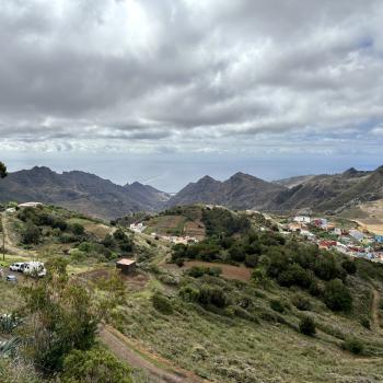 Teneriffa – Bizarre Vulkanlandschaften, Weltkulturerbe und Whale Watching, das ganze Jahr ein wunderbares Naturerlebnis - (c) Anke Sieker