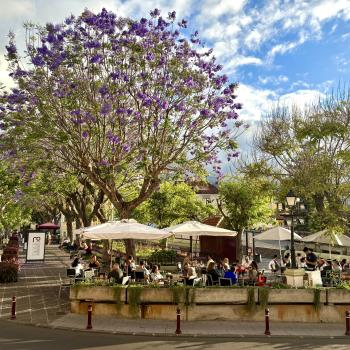 Teneriffa – Bizarre Vulkanlandschaften, Weltkulturerbe und Whale Watching, das ganze Jahr ein wunderbares Naturerlebnis - (c) Anke Sieker