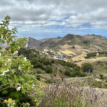 Teneriffa – Bizarre Vulkanlandschaften, Weltkulturerbe und Whale Watching, das ganze Jahr ein wunderbares Naturerlebnis - (c) Anke Sieker