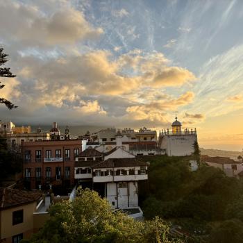 Teneriffa – Bizarre Vulkanlandschaften, Weltkulturerbe und Whale Watching, das ganze Jahr ein wunderbares Naturerlebnis - (c) Anke Sieker