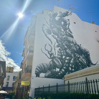 Teneriffa – Bizarre Vulkanlandschaften, Weltkulturerbe und Whale Watching, das ganze Jahr ein wunderbares Naturerlebnis - (c) Anke Sieker