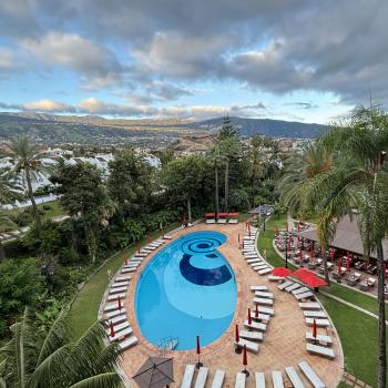 Teneriffa – Bizarre Vulkanlandschaften, Weltkulturerbe und Whale Watching, das ganze Jahr ein wunderbares Naturerlebnis - (c) Anke Sieker