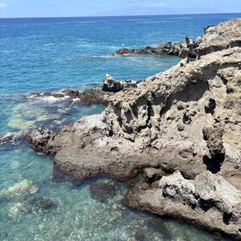 Teneriffa – Bizarre Vulkanlandschaften, Weltkulturerbe und Whale Watching, das ganze Jahr ein wunderbares Naturerlebnis - (c) Anke Sieker