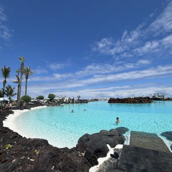 Teneriffa – Bizarre Vulkanlandschaften, Weltkulturerbe und Whale Watching, das ganze Jahr ein wunderbares Naturerlebnis - (c) Anke Sieker