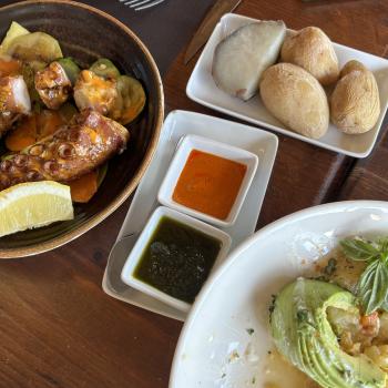 Teneriffa – Bizarre Vulkanlandschaften, Weltkulturerbe und Whale Watching, das ganze Jahr ein wunderbares Naturerlebnis - (c) Anke Sieker