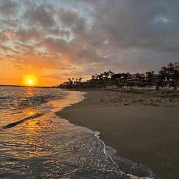 Teneriffa – Bizarre Vulkanlandschaften, Weltkulturerbe und Whale Watching, das ganze Jahr ein wunderbares Naturerlebnis - (c) Anke Sieker
