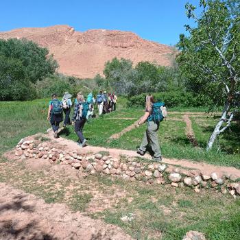 Auf unserem Trekking wandern wir mal durch grüne Felder... - (c) Christine Kroll