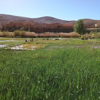 Die fruchtbaren Felder leuchten saftig grün vor den Bergen im Hintergrund - (c) Christine Kroll