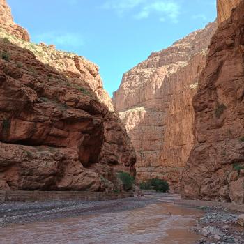 In der Agouti-Schlucht sind die roten Felswände zum Greifen nah - (c) Christine Kroll