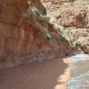 Je tiefer wir in die Schlucht vordringen, desto enger wird sie - (c) Christine Kroll