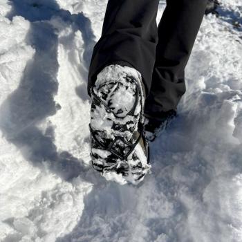 Egal ob im frischen Schnee... - (c) Christine Kroll