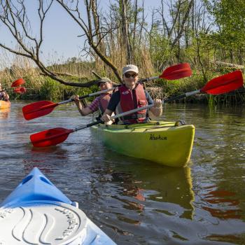 Ob zu Fuß, auf dem Fahrrad oder im Kanu, die Natur auf Wollin lockt den Aktivurlauber mit wunderbaren Natur - (c) Gabriele Beautemps