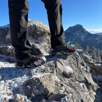 ...oder am blanken Feld... - (c) Christine Kroll