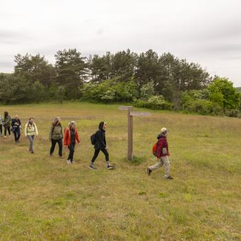 Ob zu Fuß, auf dem Fahrrad oder im Kanu, die Natur auf Wollin lockt den Aktivurlauber mit wunderbaren Natur - (c) Gabriele Beautemps