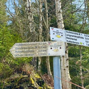 Nordschwarzwald: Tour zu den Teufelskammern - (c) Armin Herb