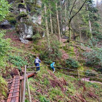 Nordschwarzwald: Tour zu den Teufelskammern - (c) Armin Herb