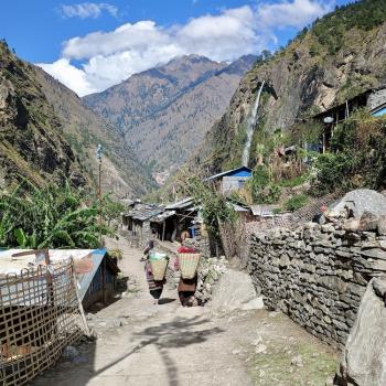 Am Wegesrand wachsen Palmen und Bananen - (c) Christine Kroll