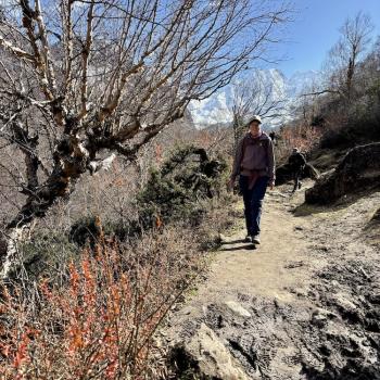 Weiter oben wird die Landschaft karger _ (c) Christine Kroll