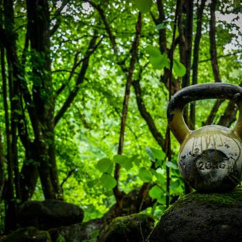 Was den Nike Metcon zur ersten Wahl für anspruchsvolle Athleten macht - (c) Pixabay/Mikewildadventure