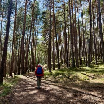  Ritten: Auf der Freud-Promenade zur Sommerfrisch, Genusswandern rund um Oberbozen und Klobenstein - (c) Armin Herb