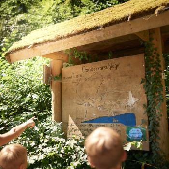 Premiumwandern in Konstanz & am westlichen Bodensee: Schritt für Schritt das Paradies erkunden - (c) MTK Hari Pulko