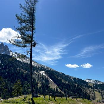 Mindful.Latemar – Unterwegs auf dem Achtsamkeitspfad in der UNESCO Weltnaturerberegion Dolomiten - (c) Maren Recken