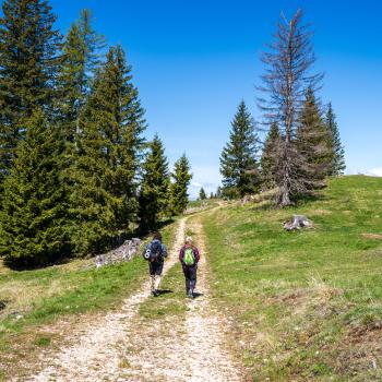 Mindful.Latemar – Unterwegs auf dem Achtsamkeitspfad in der UNESCO Weltnaturerberegion Dolomiten - (c) Maren Recken