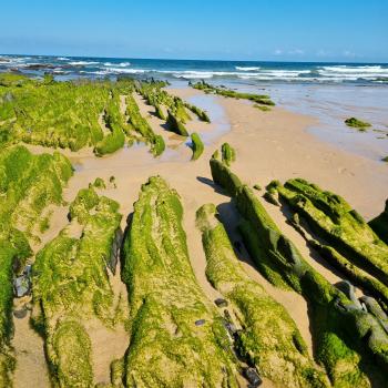 Eine Reise entlang Portugals südlichster Küste, wo Fels und Sand, Fischerdörfer und Design-Retreats, Naturidylle und kulinarische Leidenschaft ein harmonisches Ganzes formen - (c) Detlef Düring