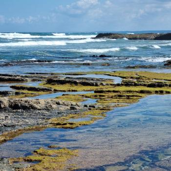 Eine Reise entlang Portugals südlichster Küste, wo Fels und Sand, Fischerdörfer und Design-Retreats, Naturidylle und kulinarische Leidenschaft ein harmonisches Ganzes formen - (c) Detlef Düring