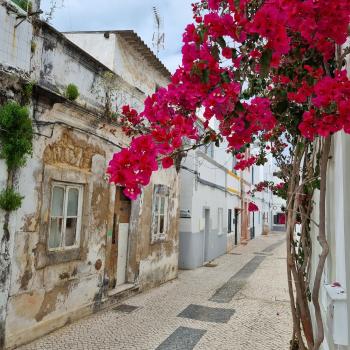 Eine Reise entlang Portugals südlichster Küste, wo Fels und Sand, Fischerdörfer und Design-Retreats, Naturidylle und kulinarische Leidenschaft ein harmonisches Ganzes formen - (c) Detlef Düring